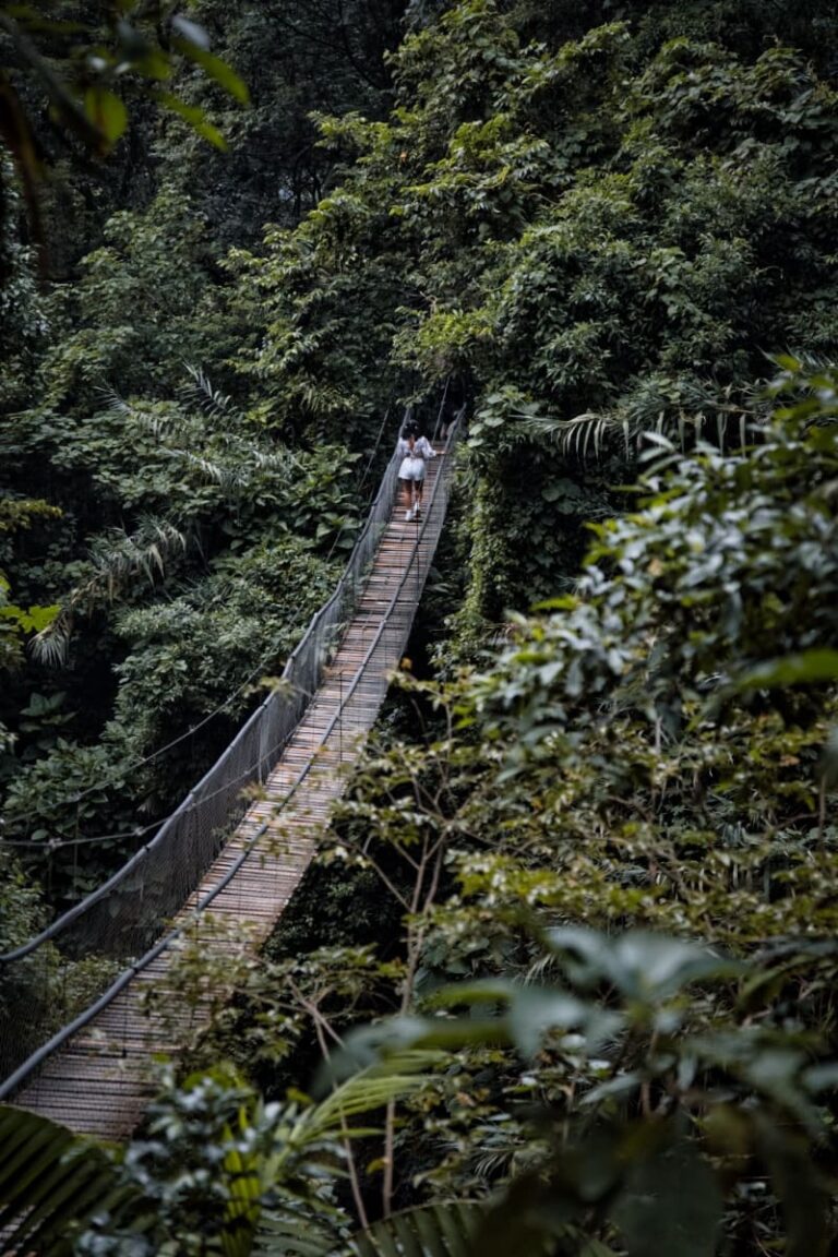 Guatemala Atitlan Nature Reserve