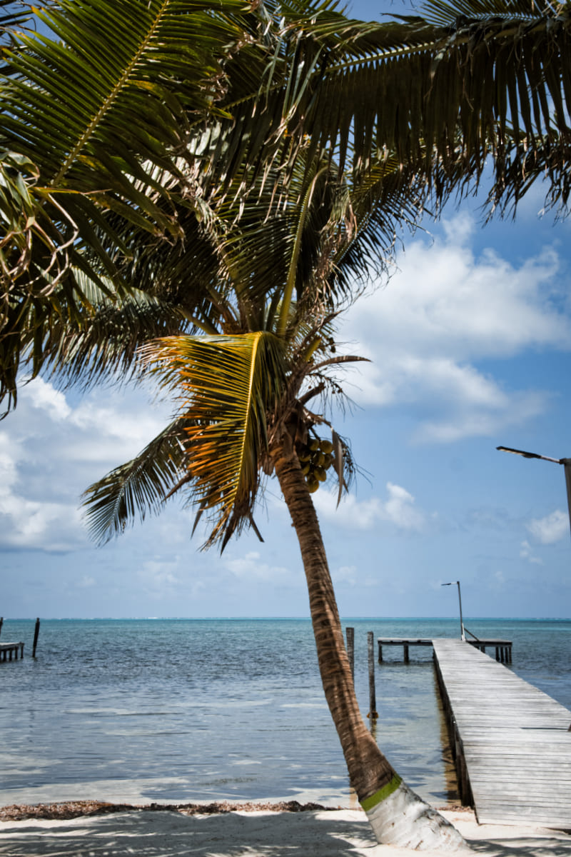 Where to go in Belize? We answer this question here